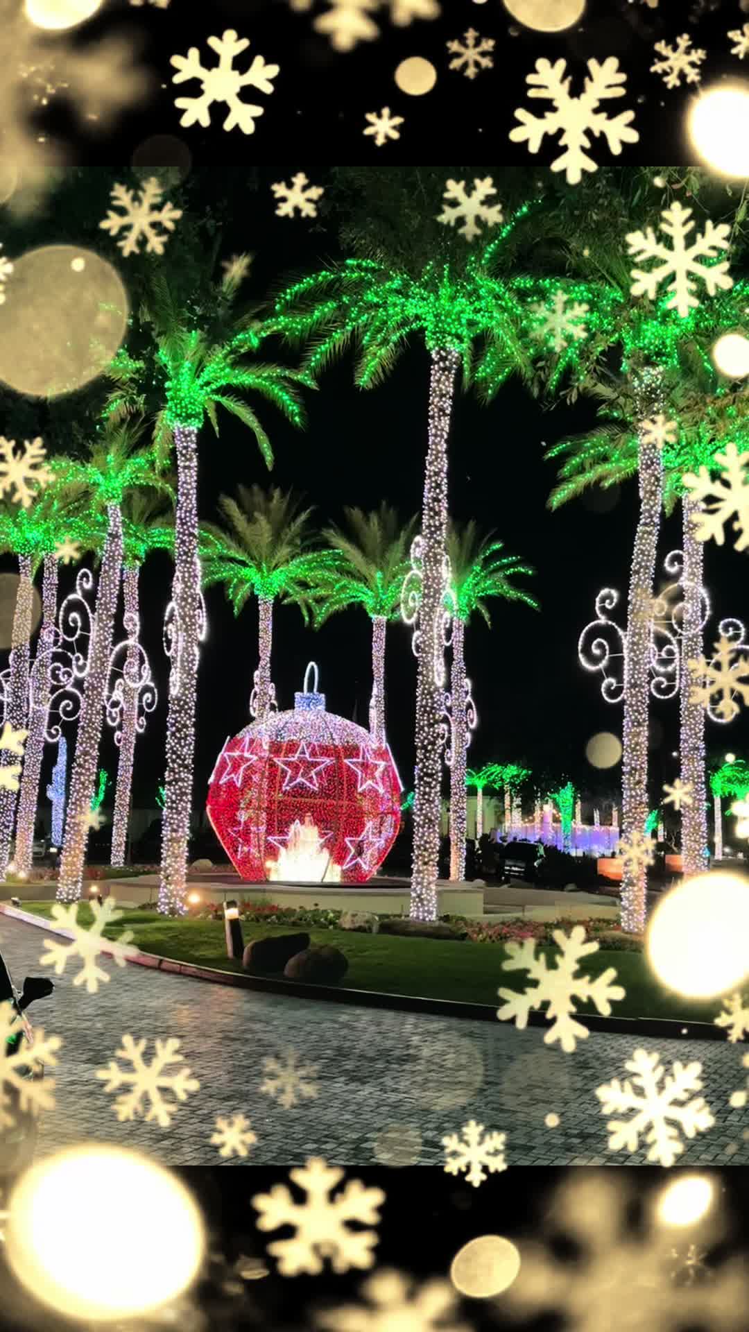 @TealTikTok
