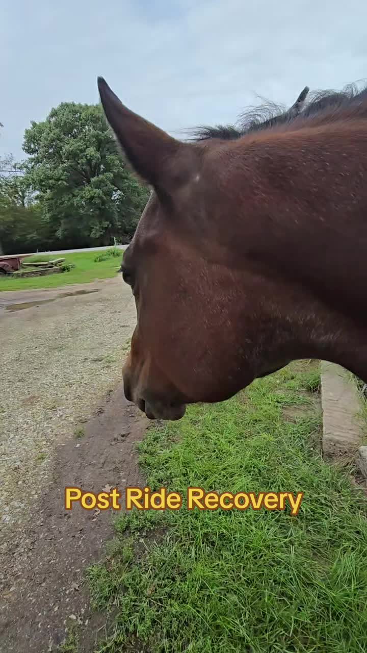 @Small Town Farm LLC