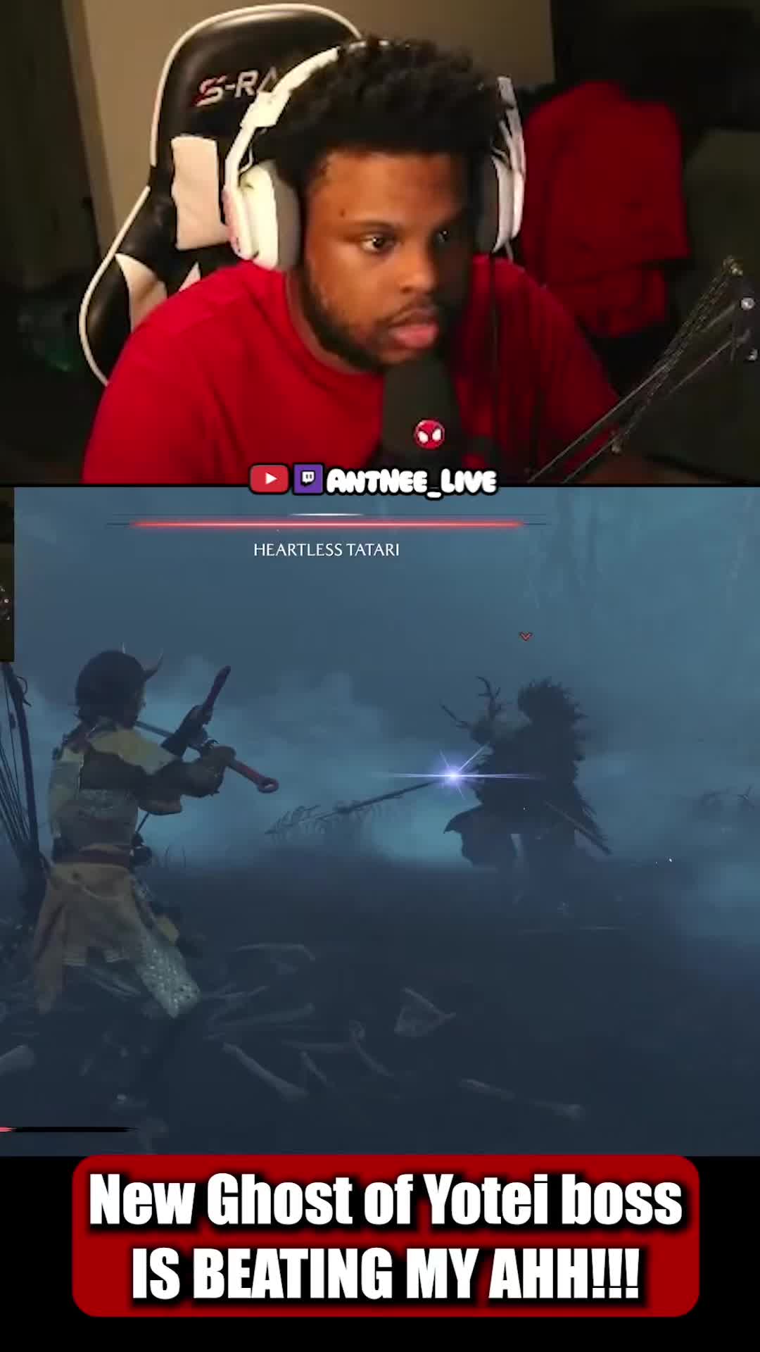 @AntNee Live