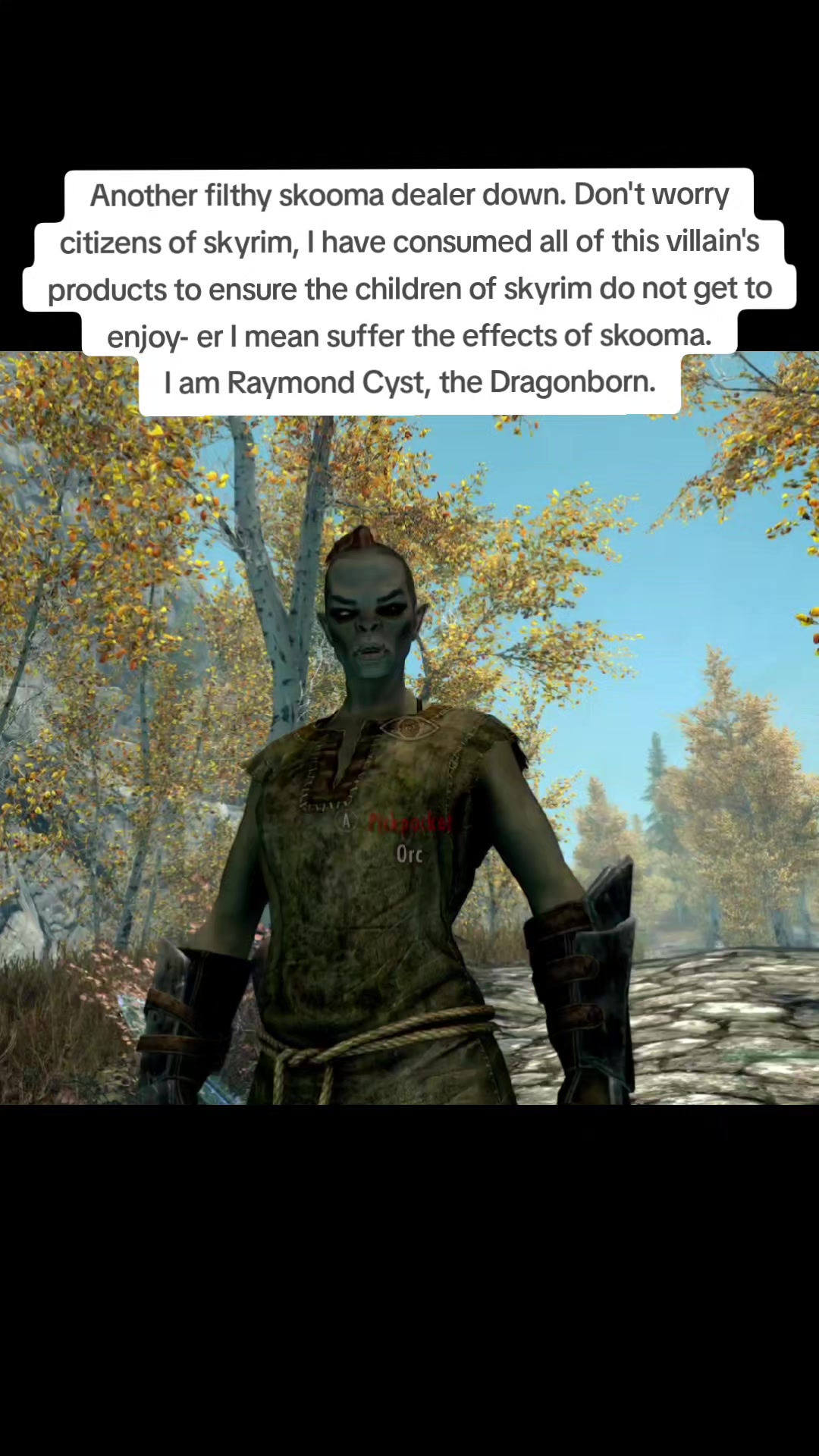 @Raymond Cyst, the Dragonborn