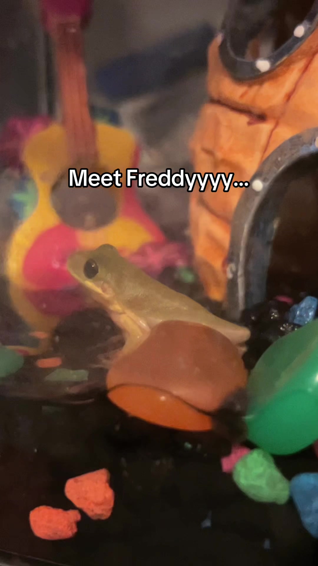 @PopWrld666