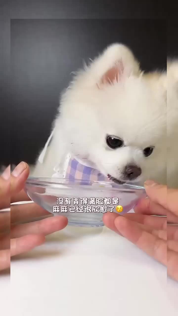 @mame3627