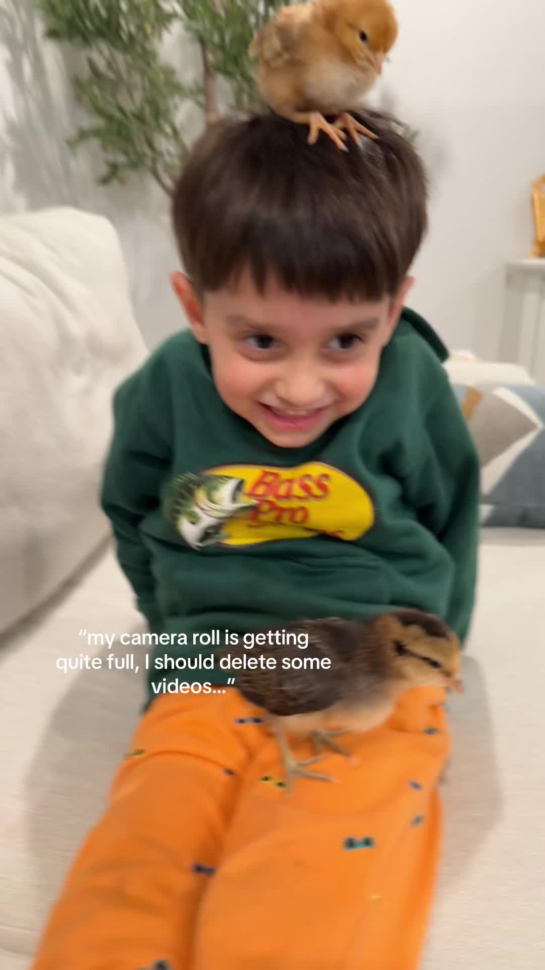 @Fatima Alfatlawy