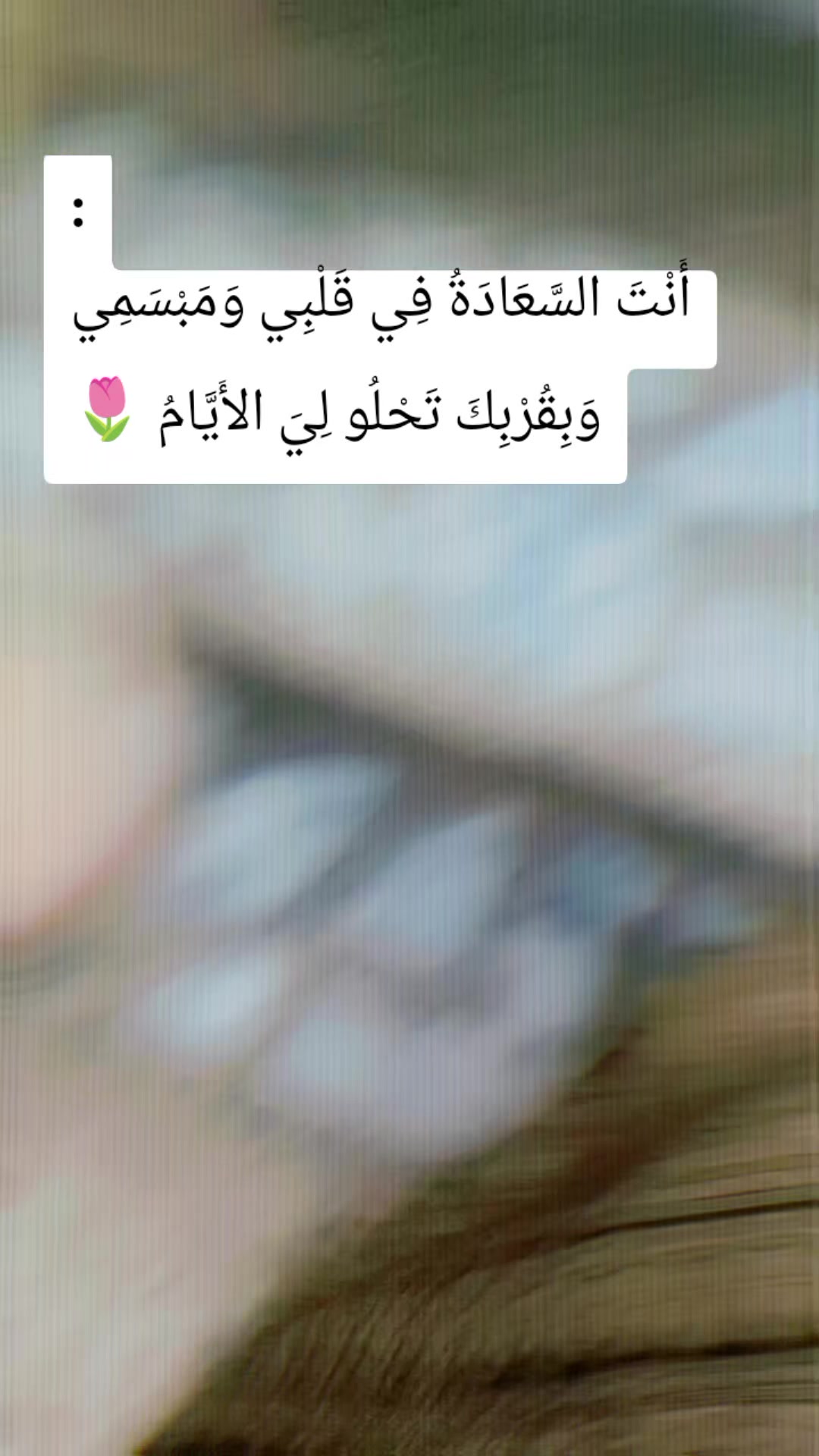 @Teacher ho1