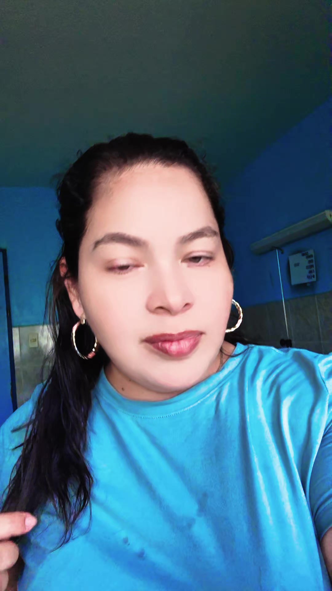 @el ave fénix