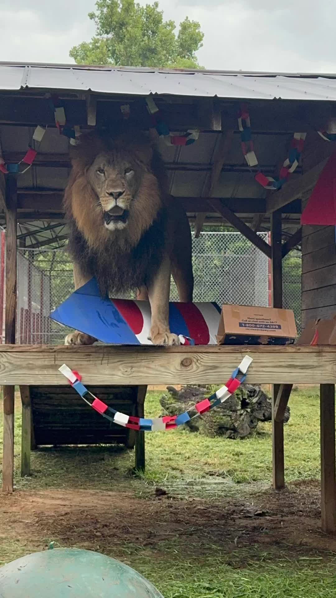 @Cedarhill Animal Sanctuary