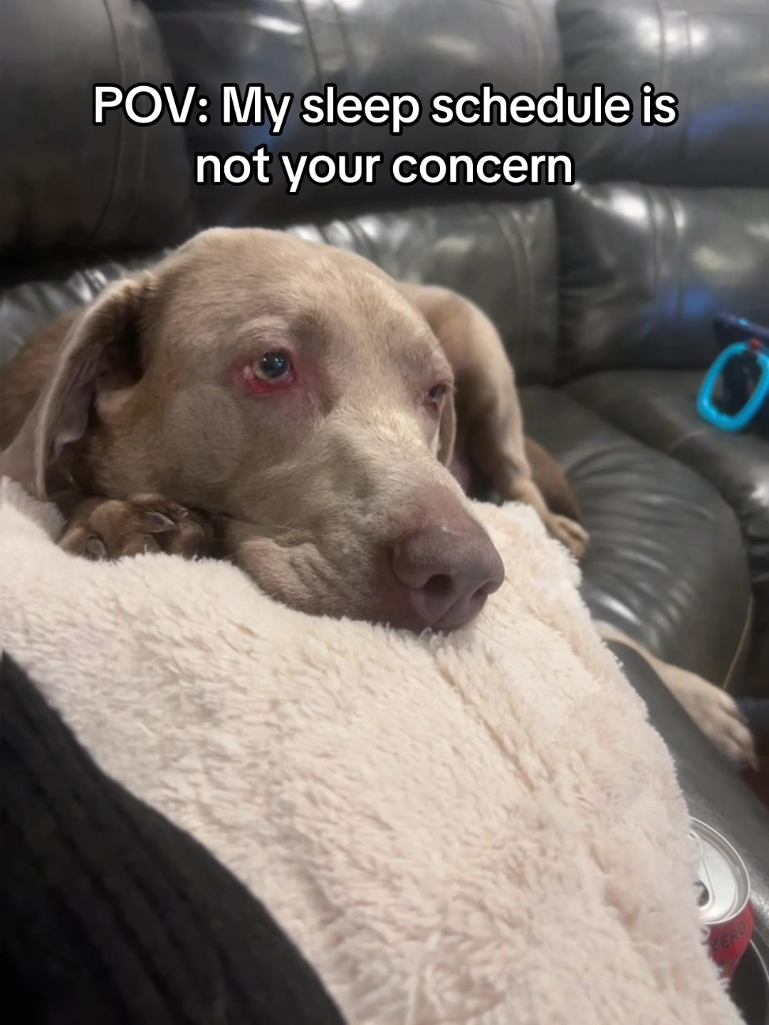 @Misty&rsquo;s🐾Dog Mom