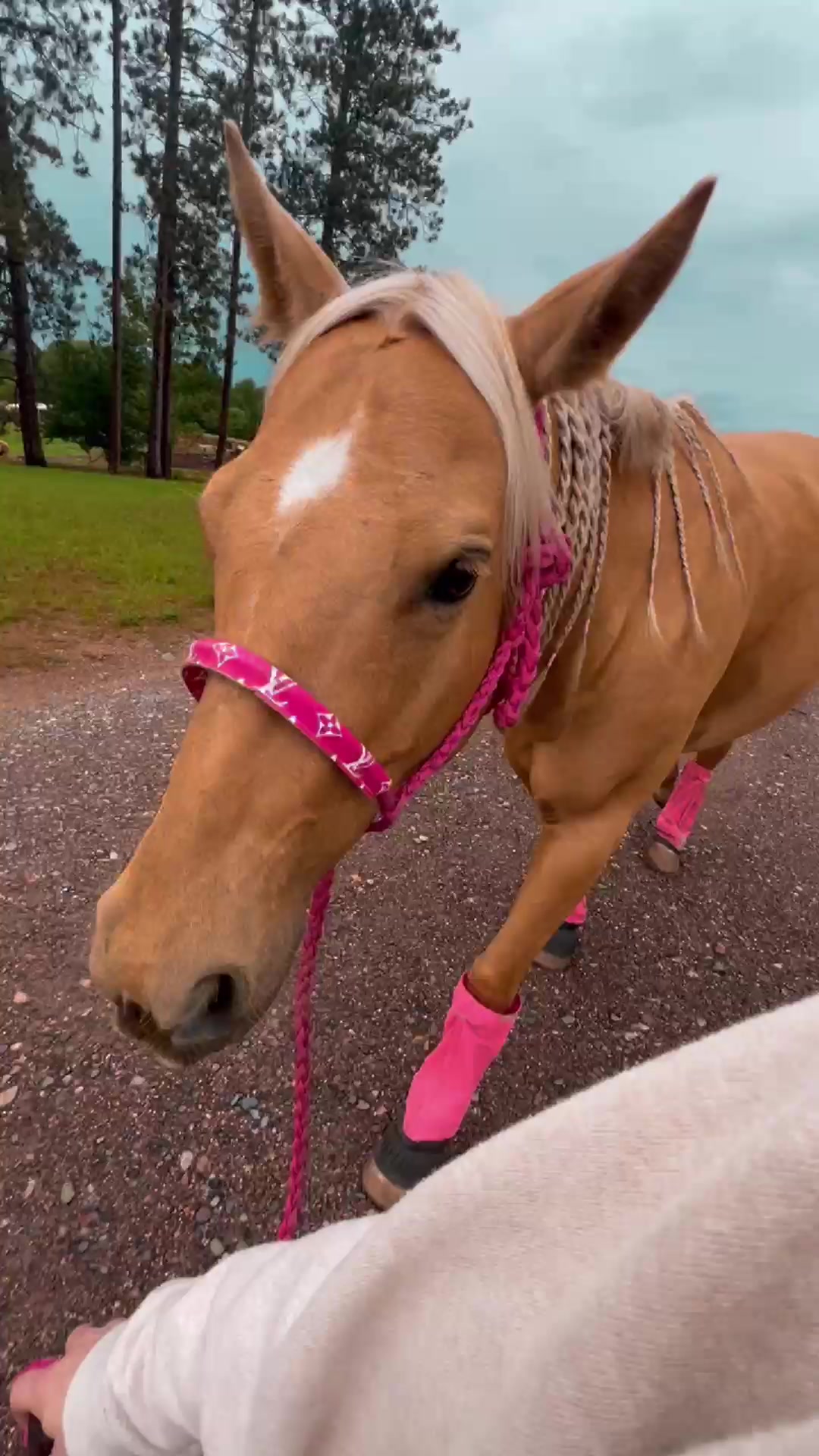 @northern.cowgurl
