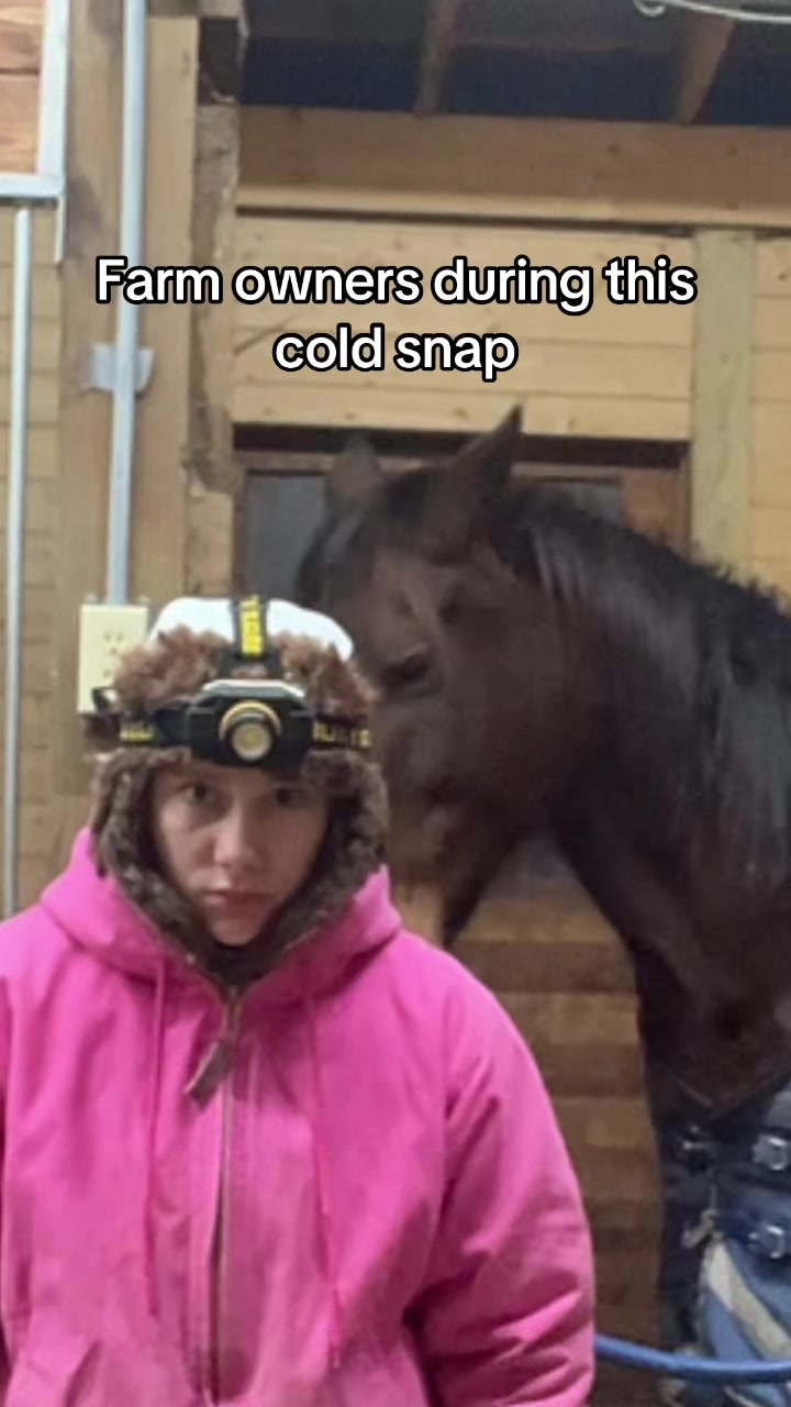 @Pony Squisher