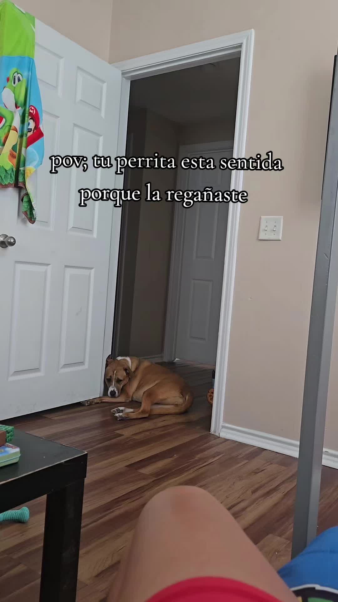 @mich ayala