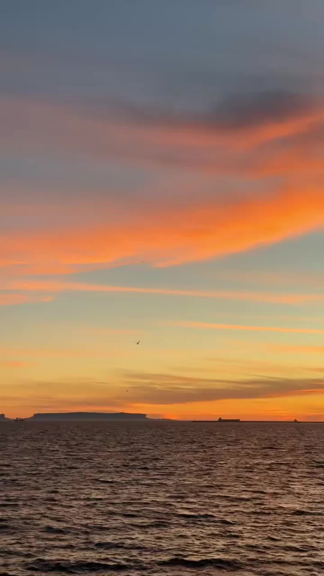 @SimpleHappiness🌞