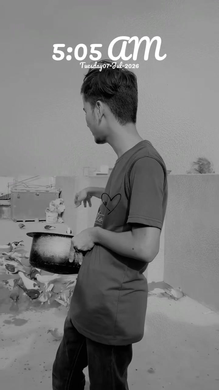 @AYAN SIDDIQUI