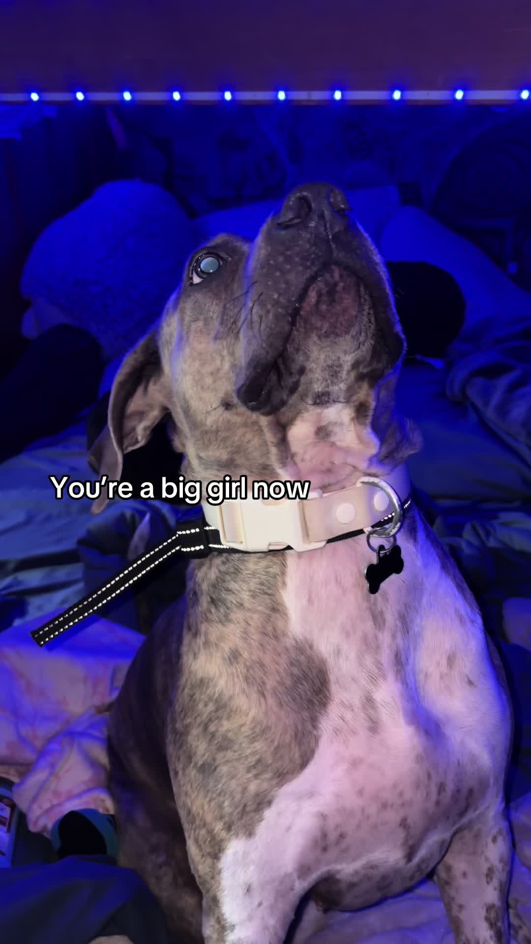 @✨em✨
