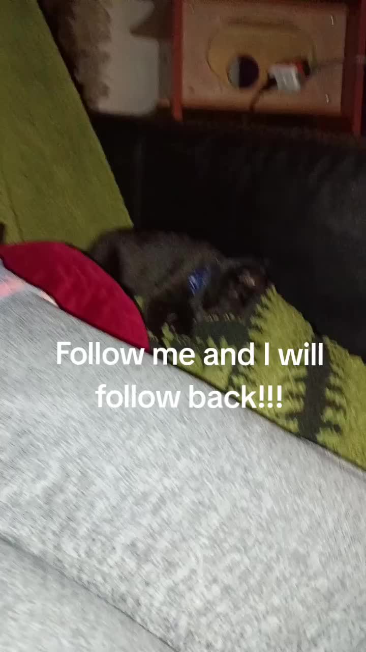 @axelbro