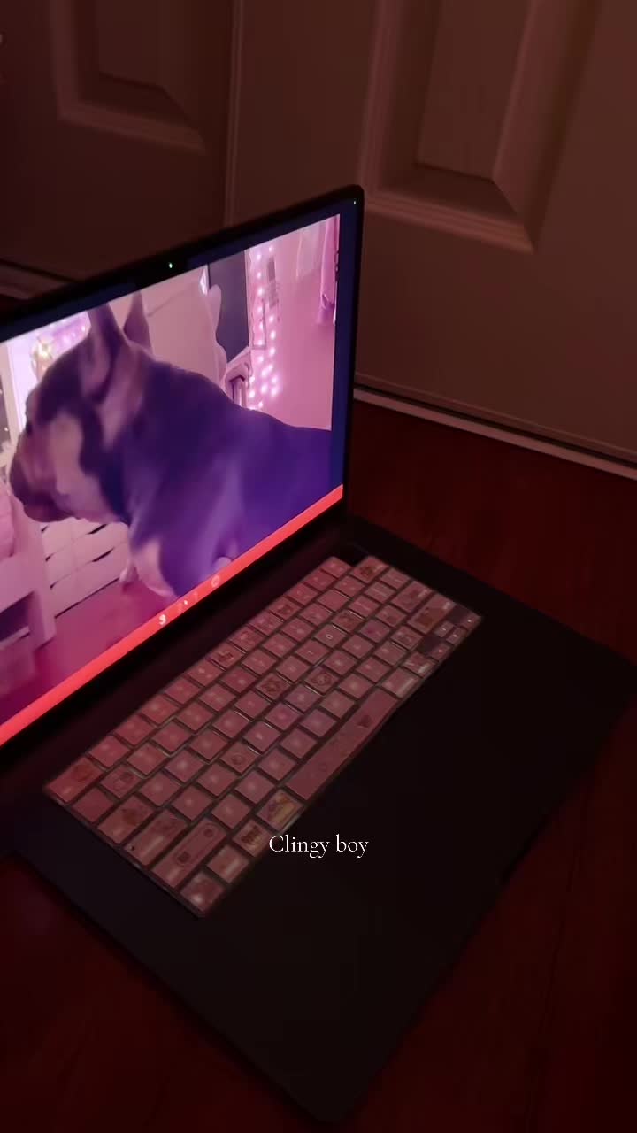 @lin