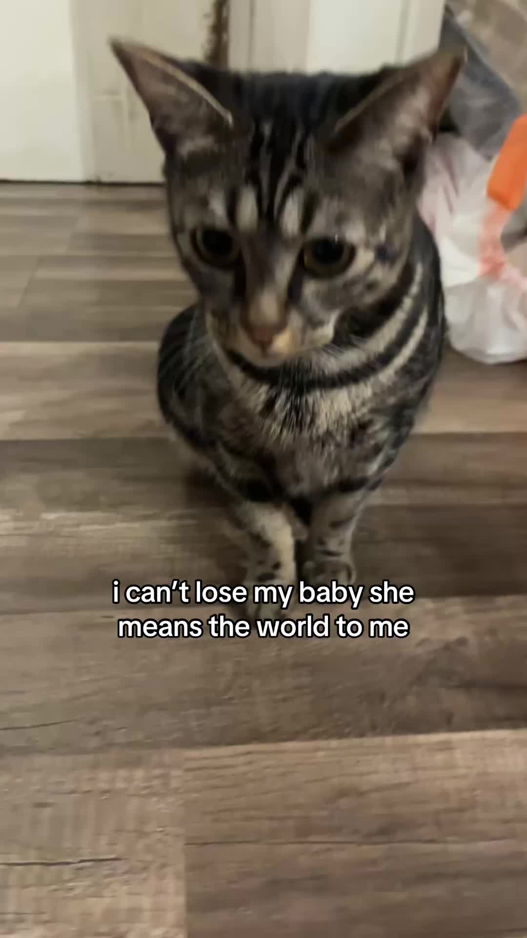 @Olivia