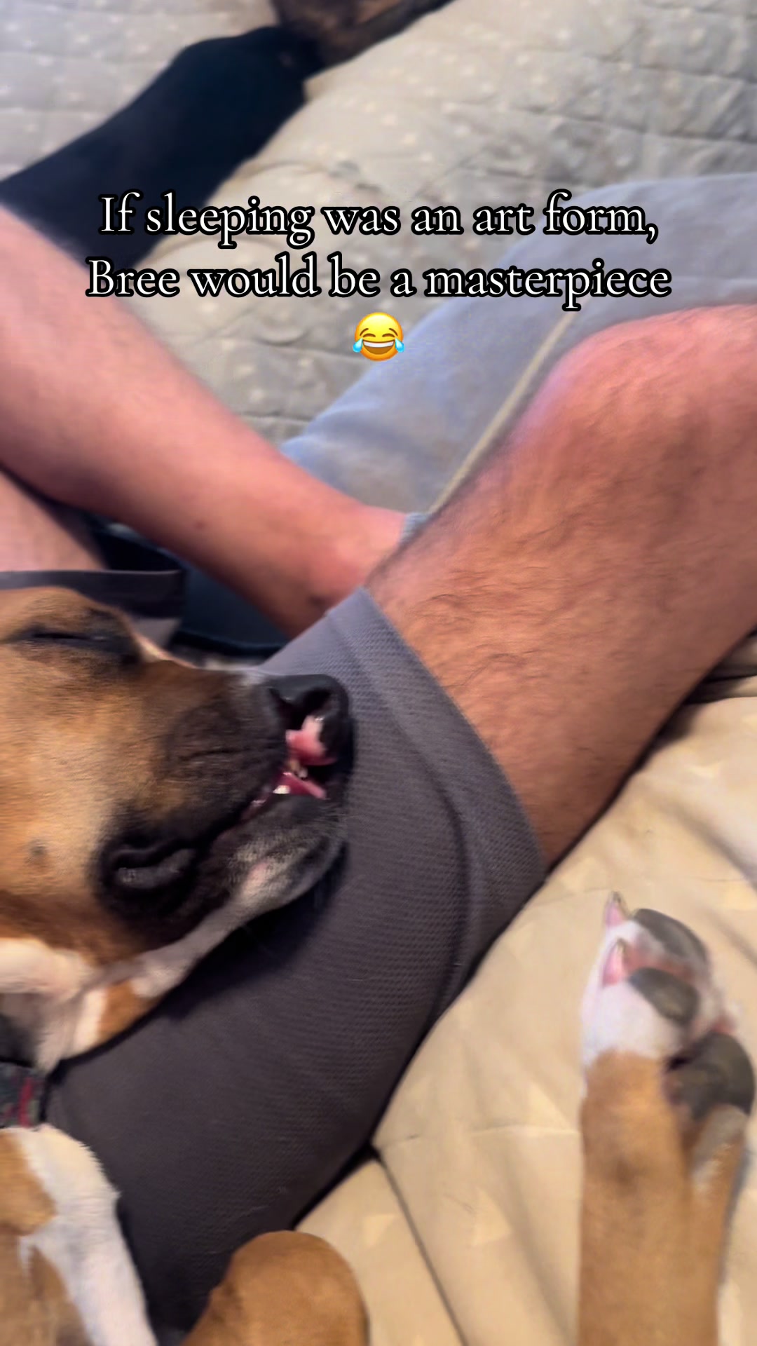 @EzraSharksIslandOfMisfitz