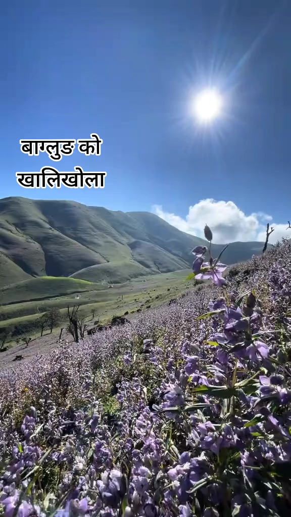 @RANA DEV 🏕️🏠️🏘️