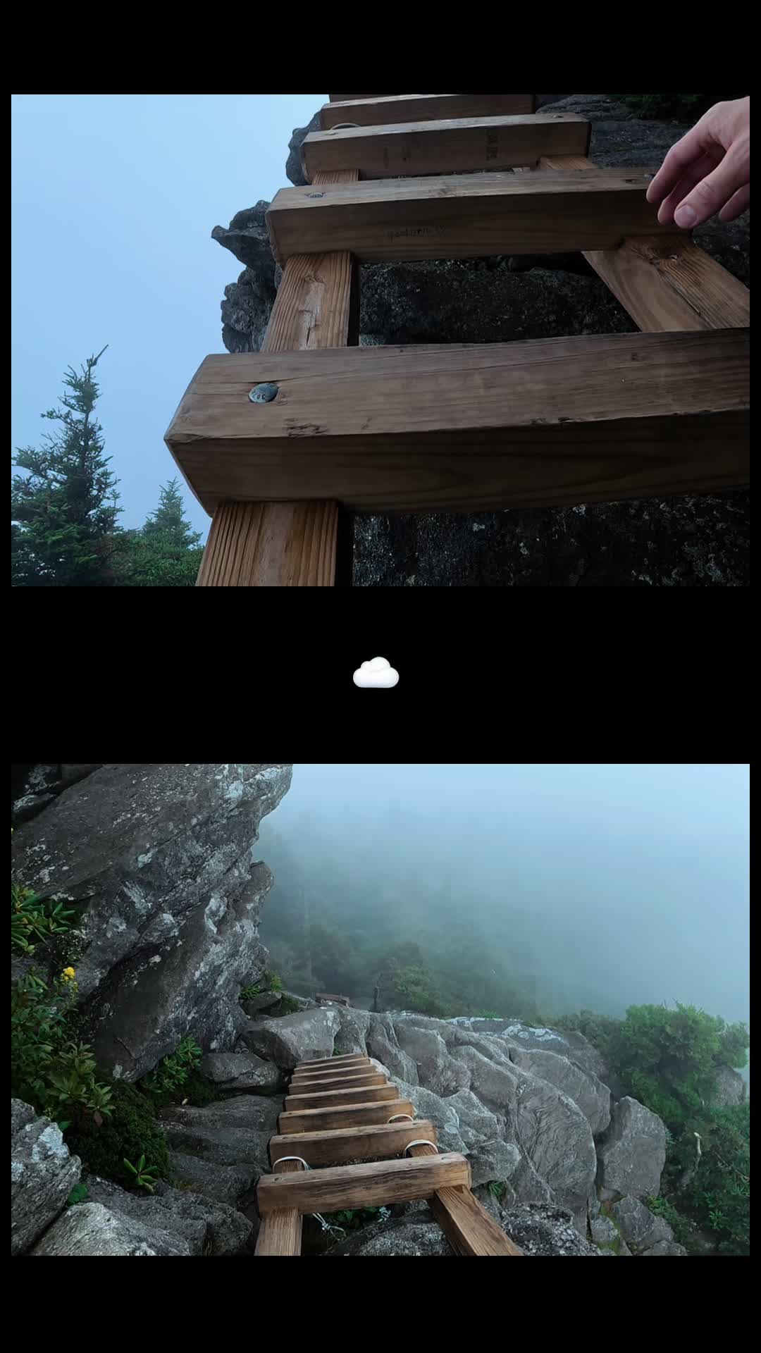 @Nature junkie