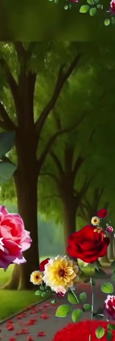 @Shankaroon🥷❤️