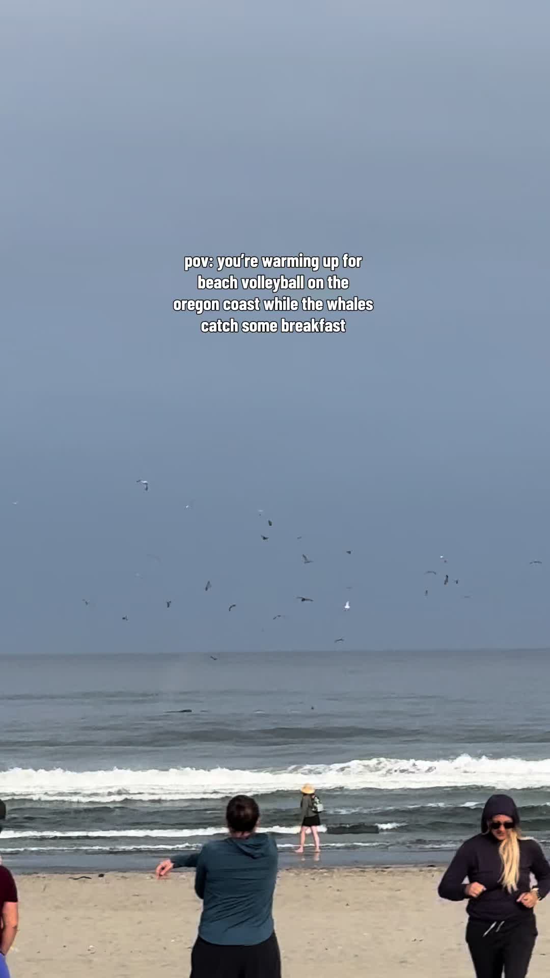 @emily
