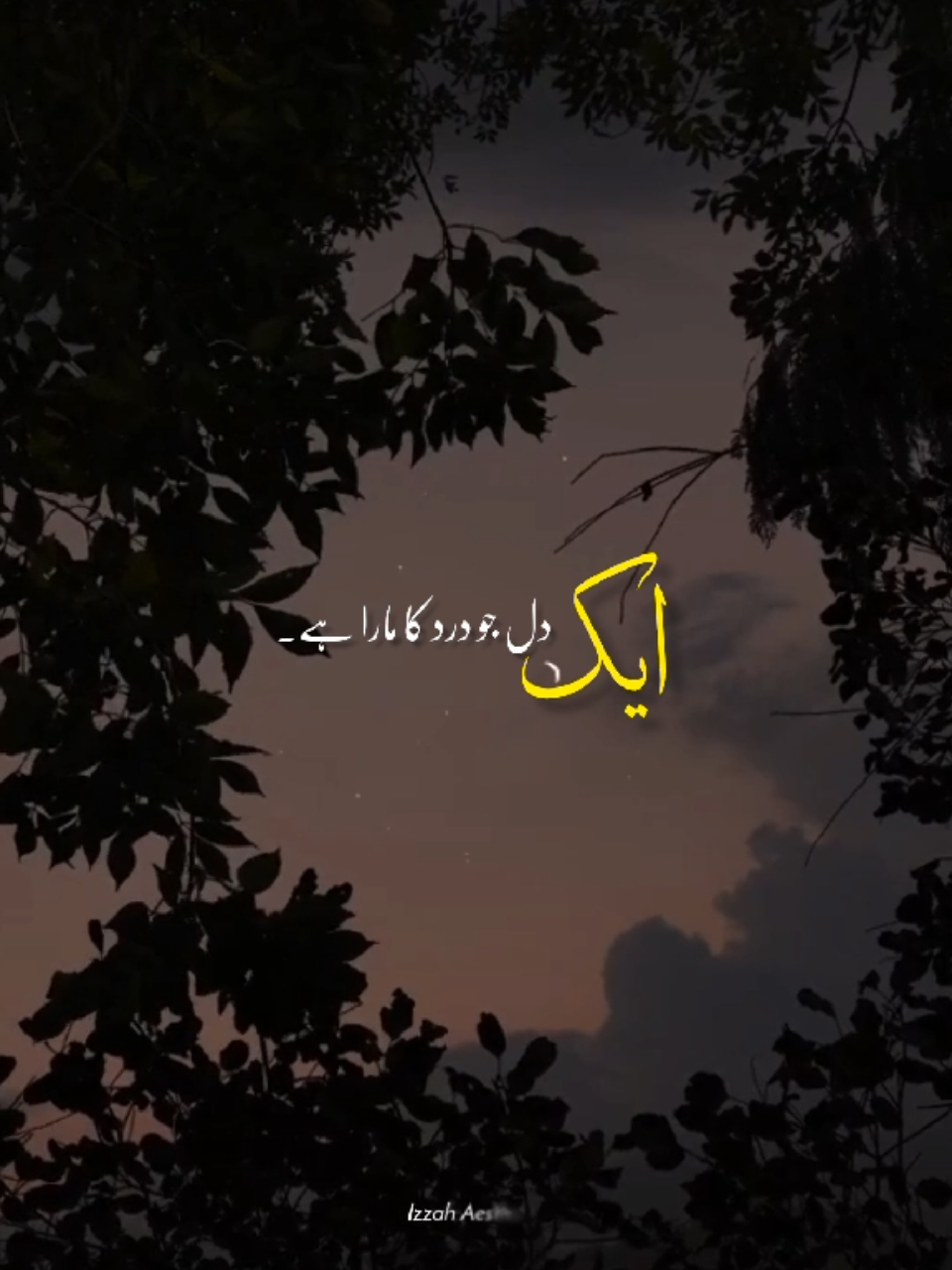 @𝙄 𝙕 𝙕 𝘼 𝙃 🕊️•