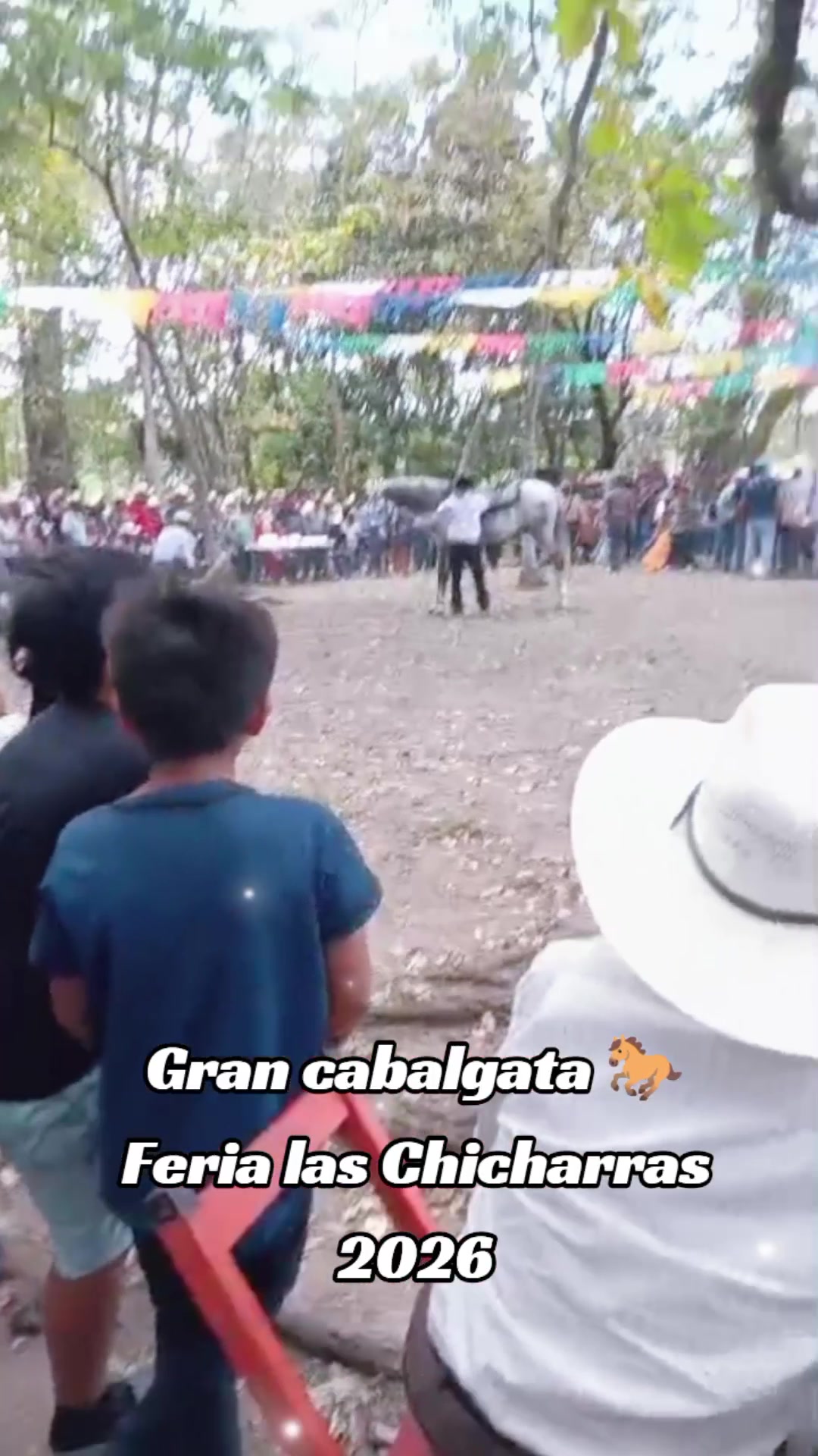 @Las Chicharras Chiapas