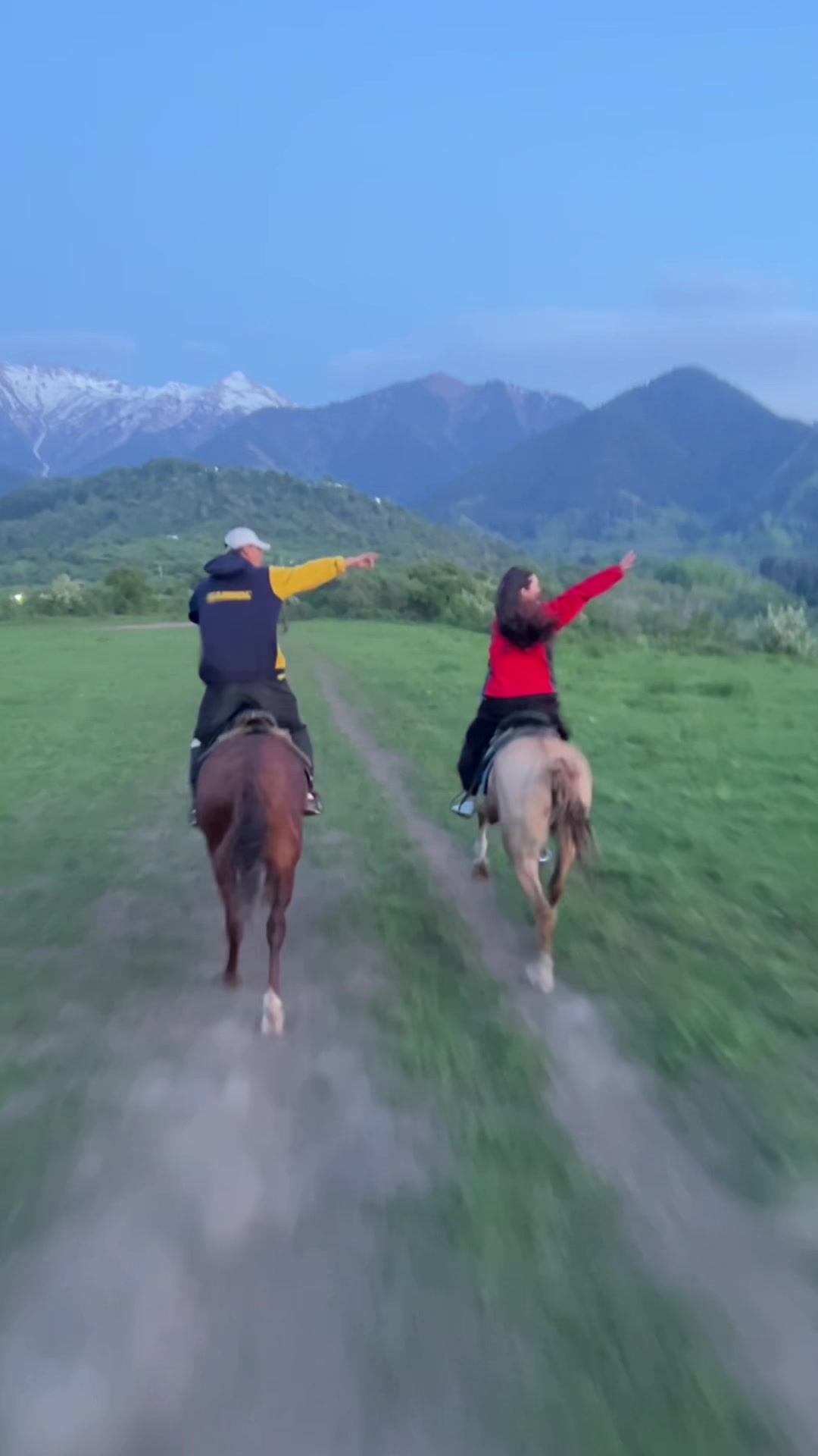 @akshatau_horses