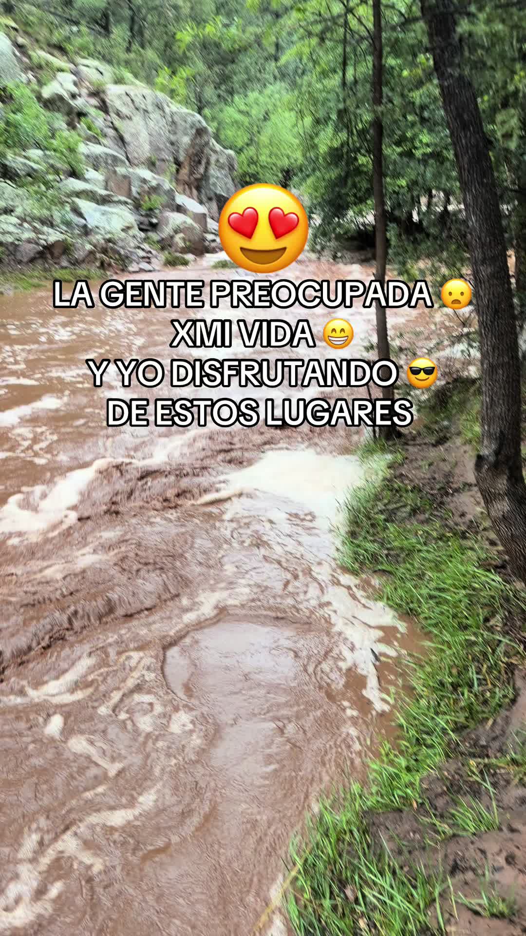 @✨🌺BETTYMARQUEZ🌺✨
