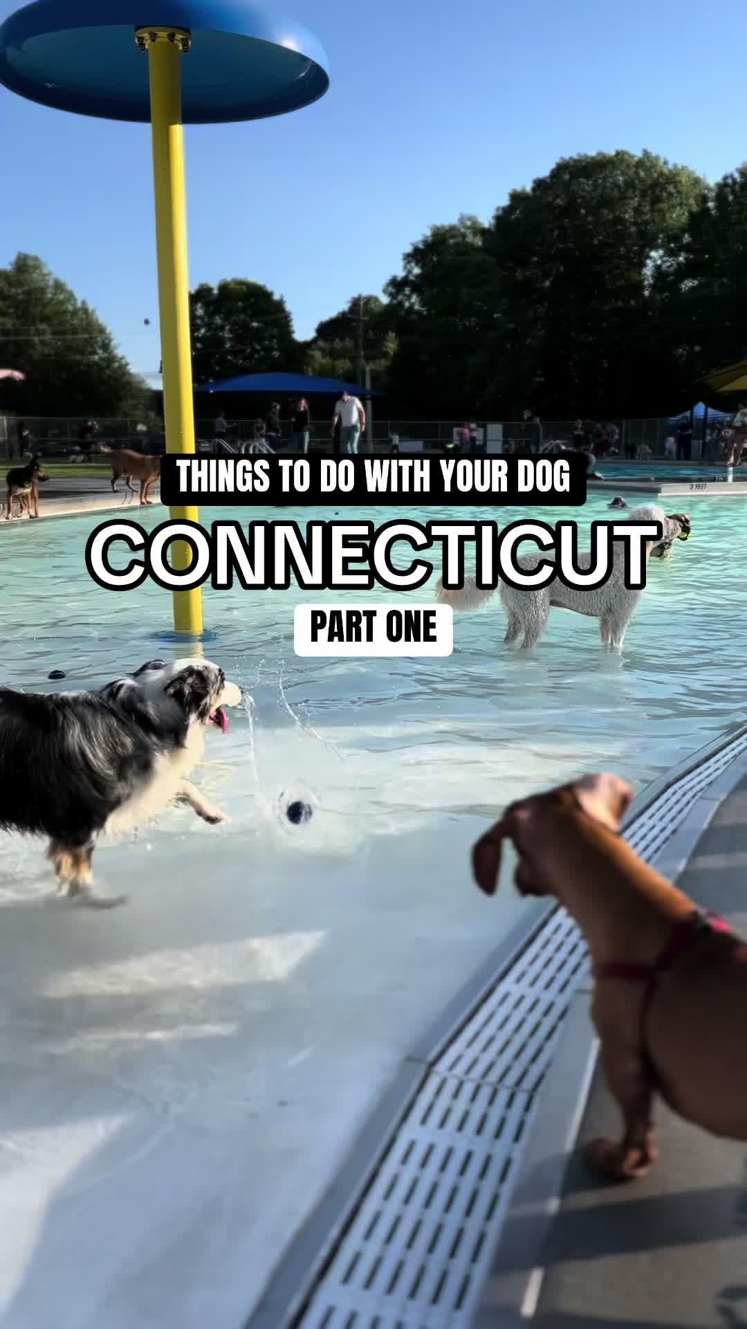@tasteconnecticut