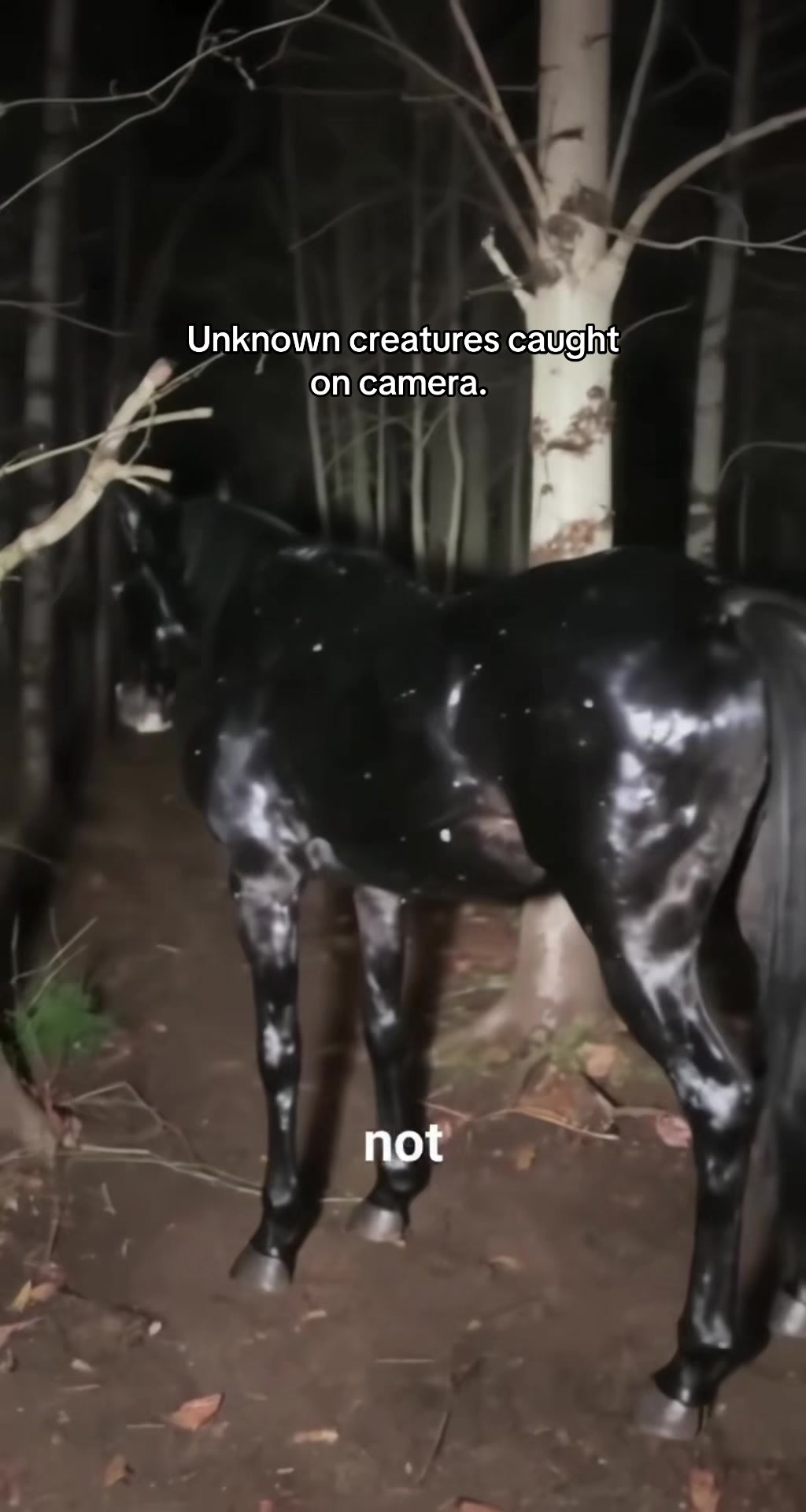 @Cryptid