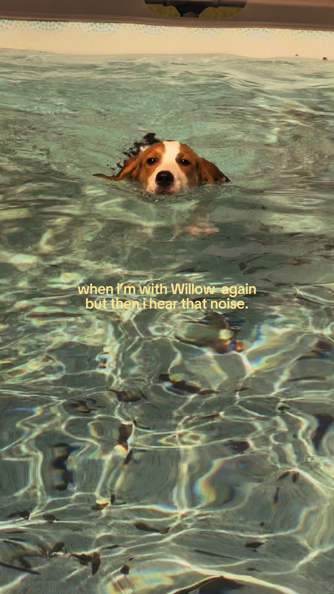 @Summer