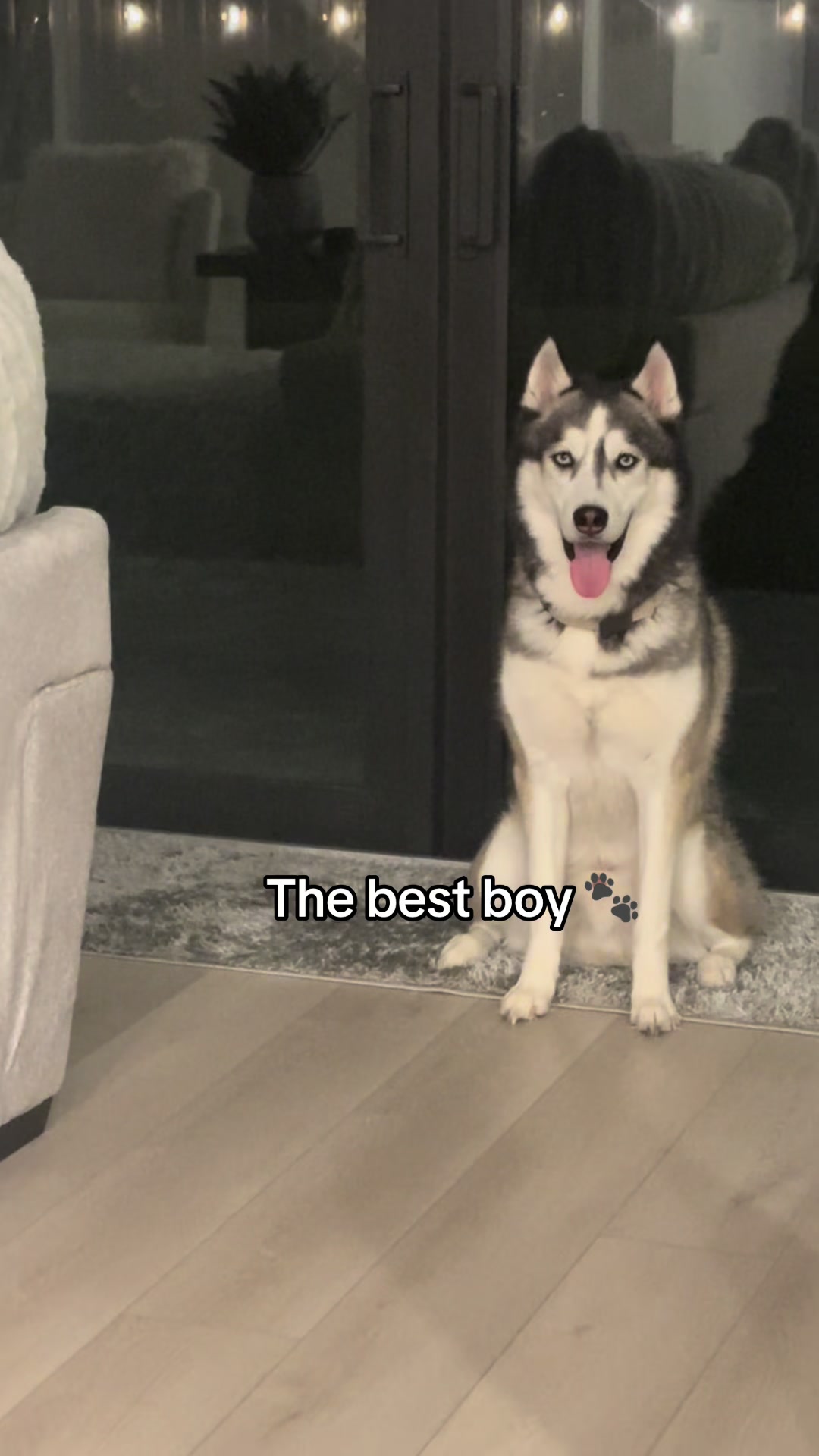 @lifewith2huskies