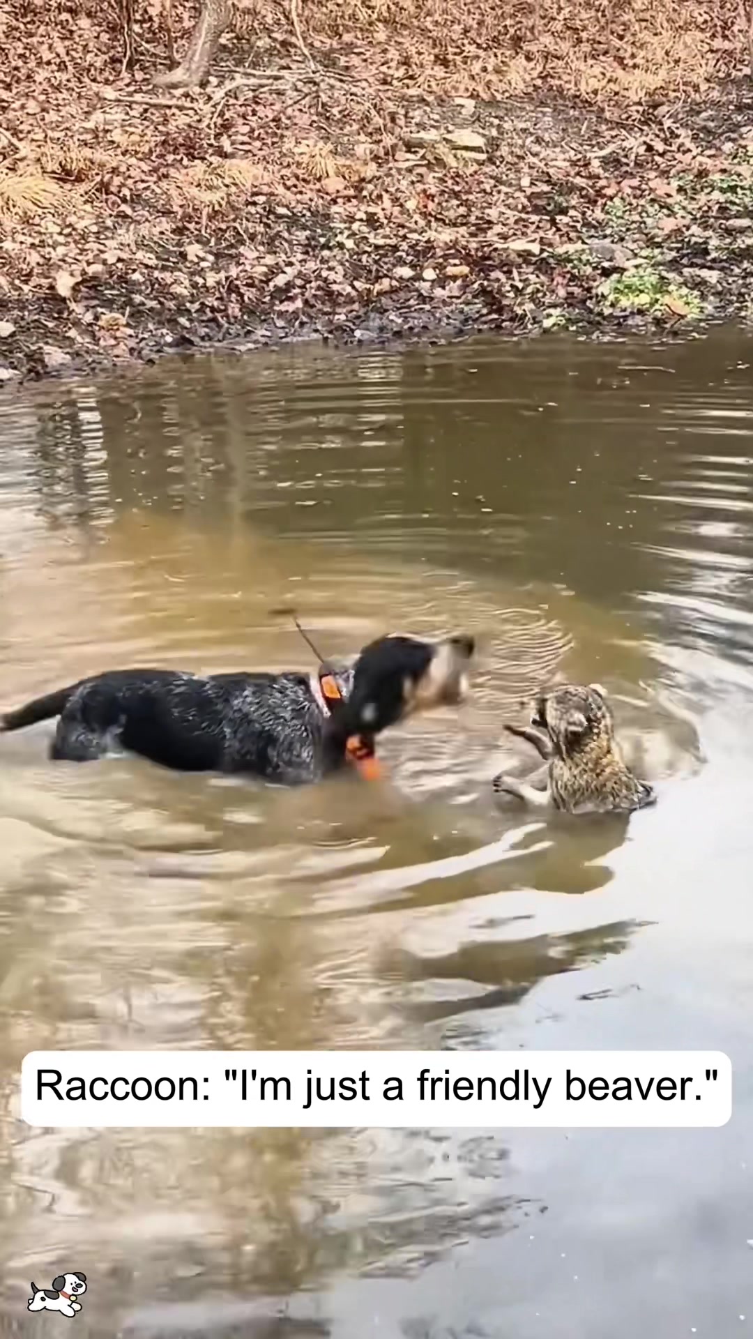 @SneakyFails