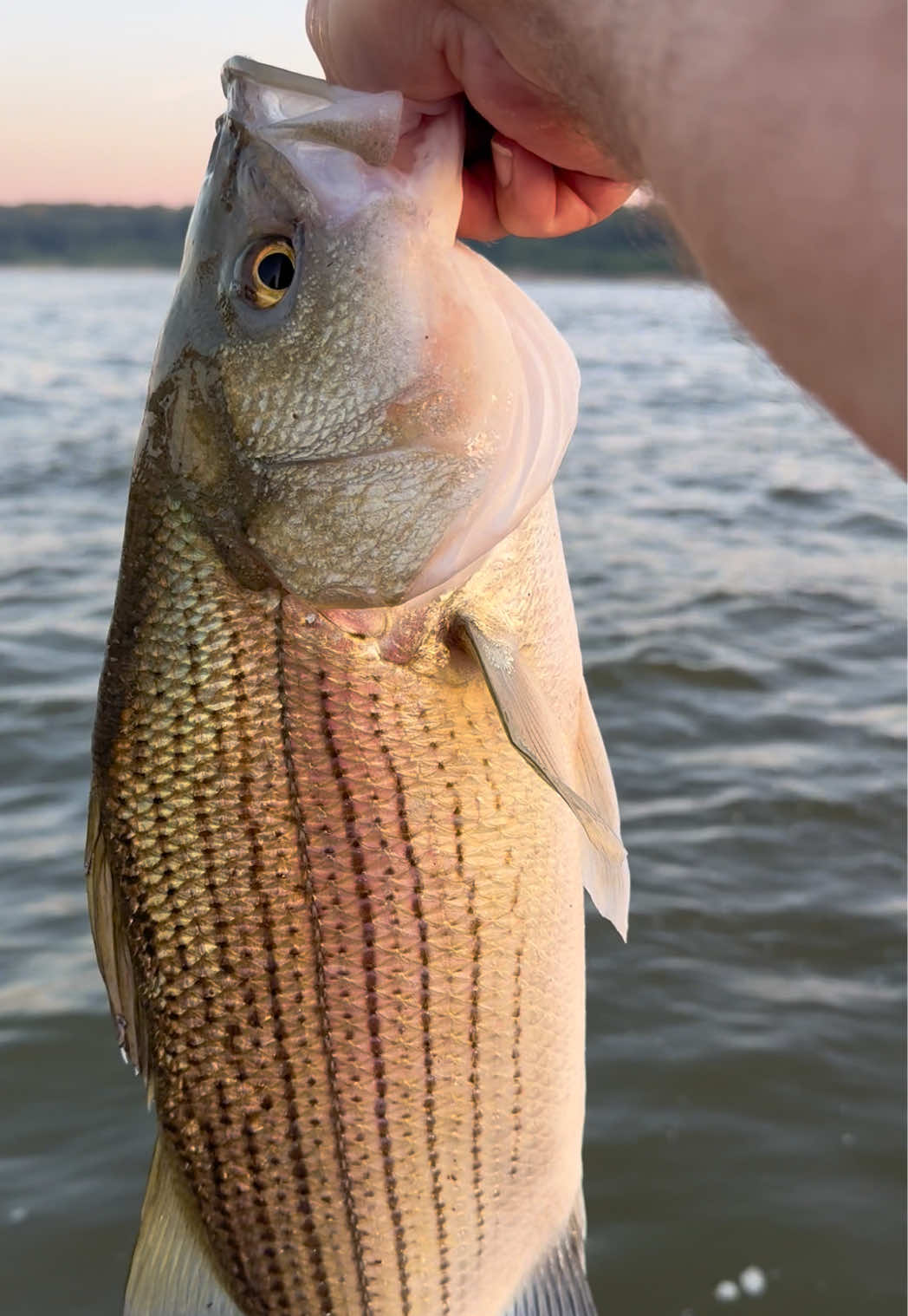 @Kentucky Fishing