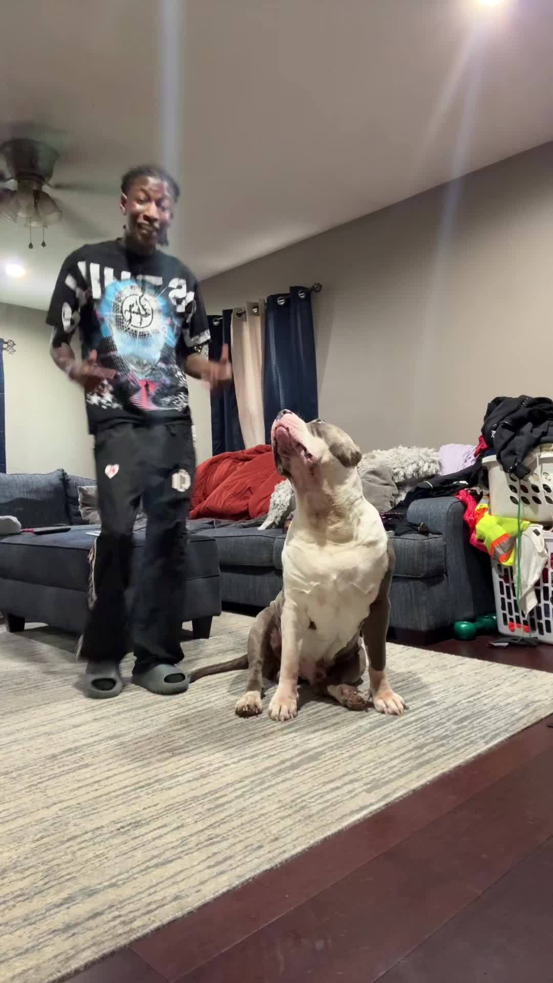 @ZWOP