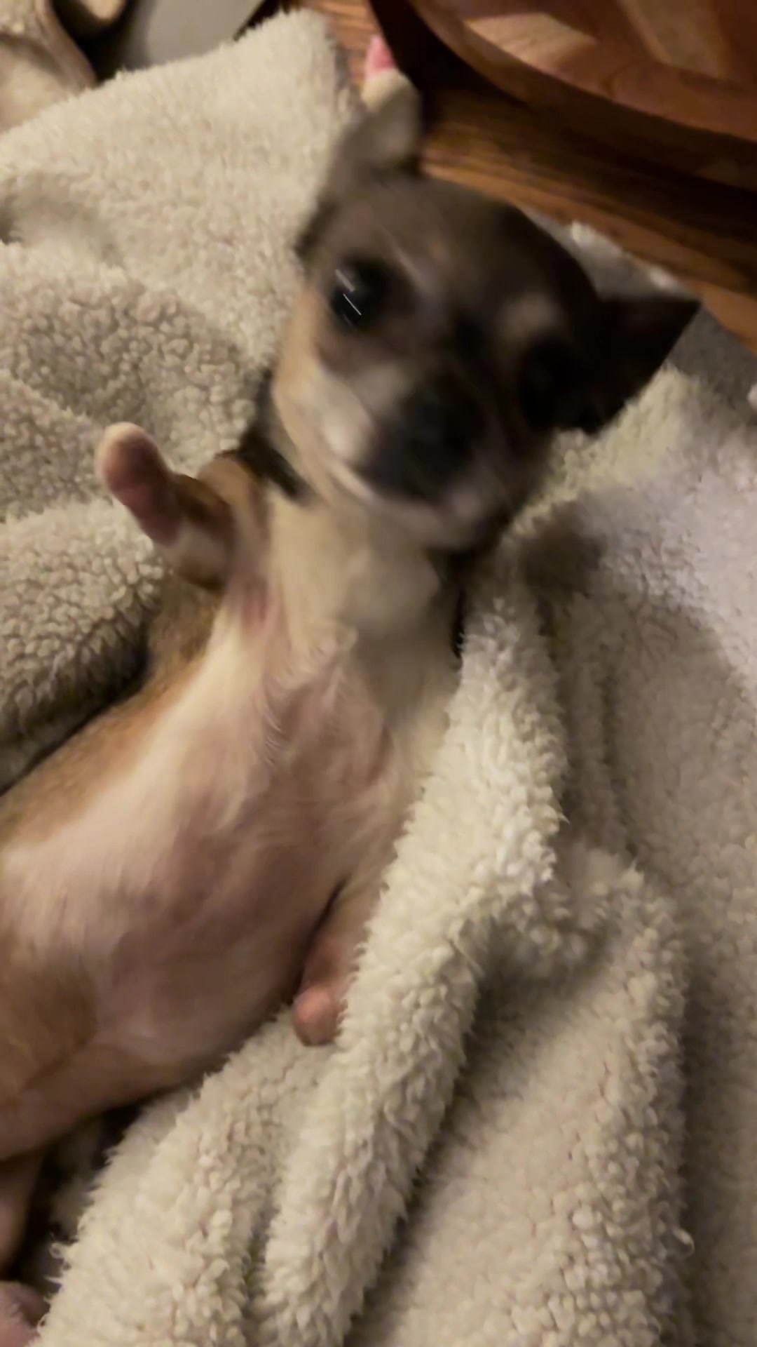 @MortyTheMisfit