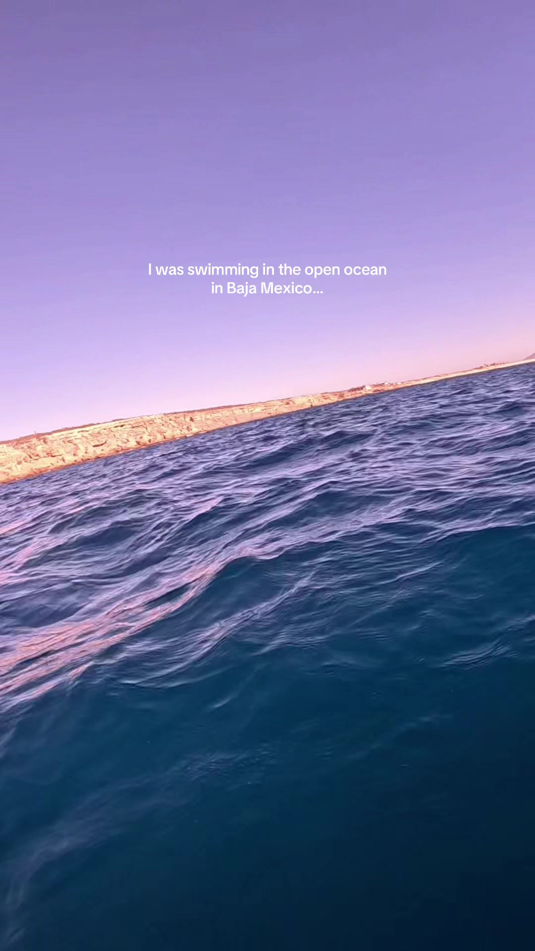 @Carissa 🐋🩵🌊