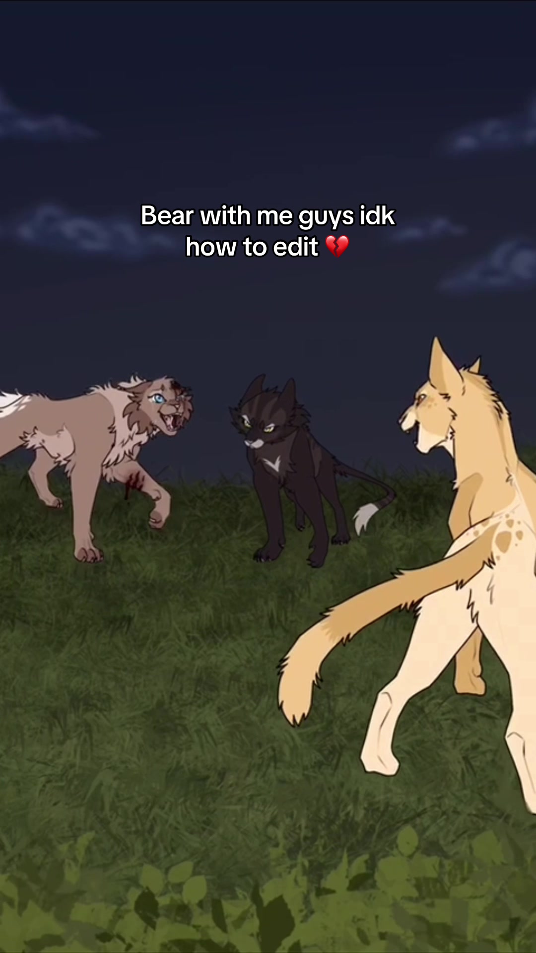 @MJ😼