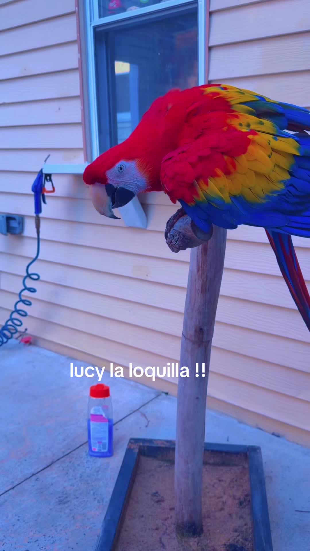 @Margarita Valdez