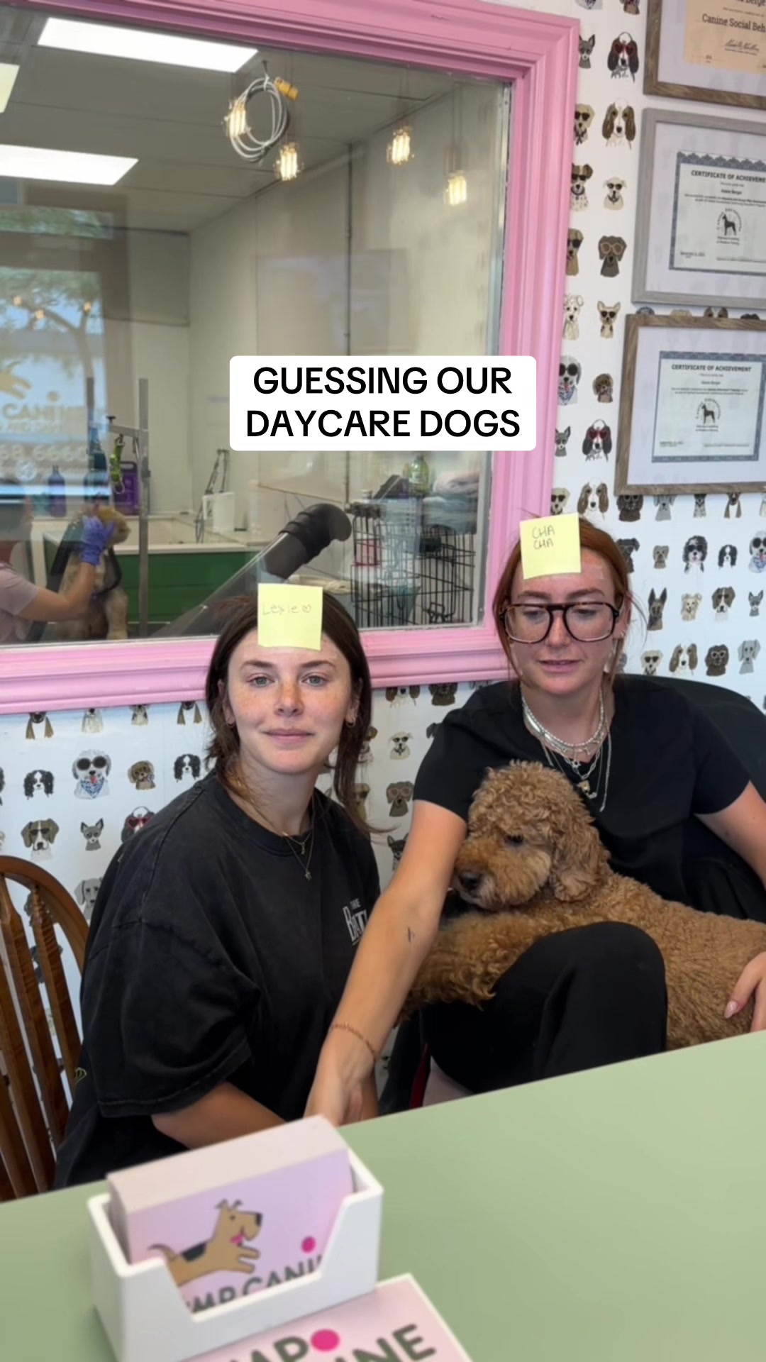 @Camp Canine Toronto
