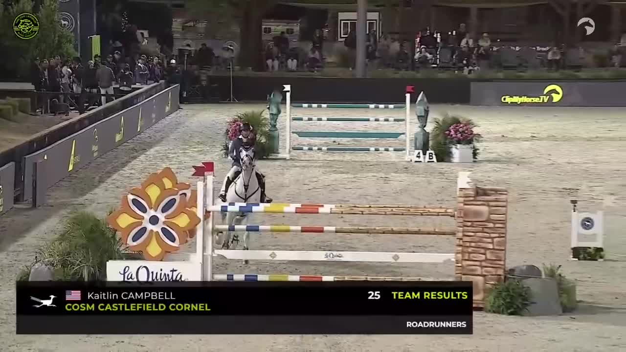 @Major League Show Jumping