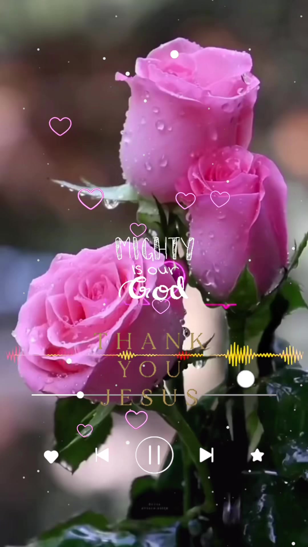 @Vicky blessings 2026