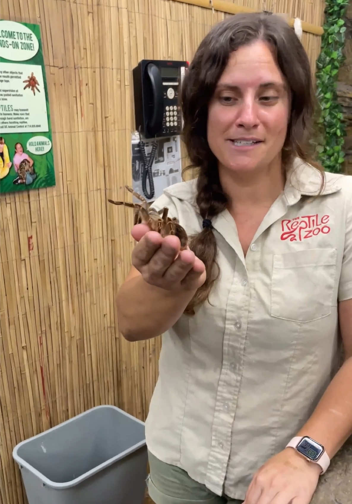 @The Reptile Zoo