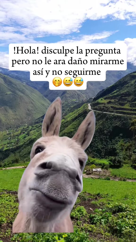 @🎀roci🧸🇪🇨✨