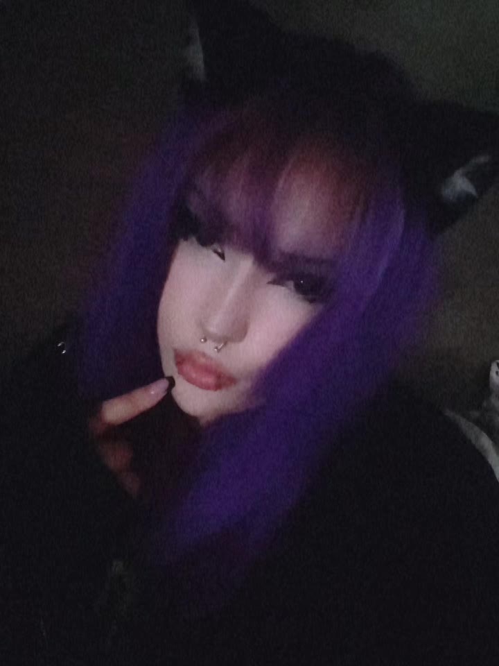 @kitty≽(•⩊ •マ≼