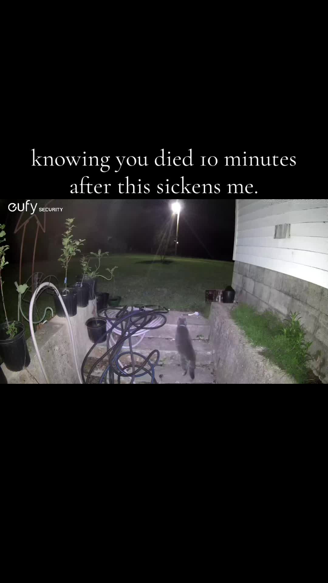 @elijackson673