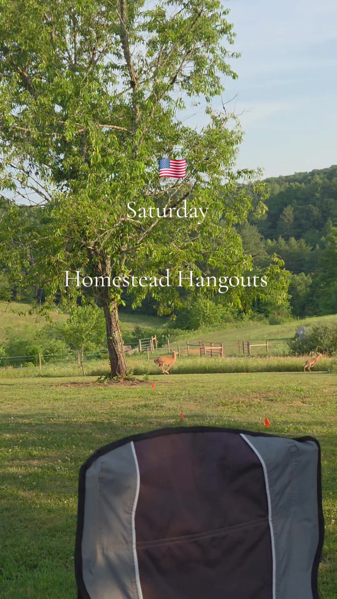 @Blue_Ridge_HomeStead