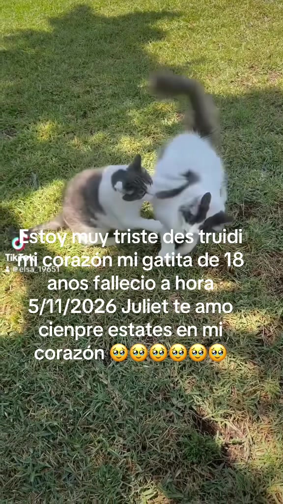 @elsa_19651