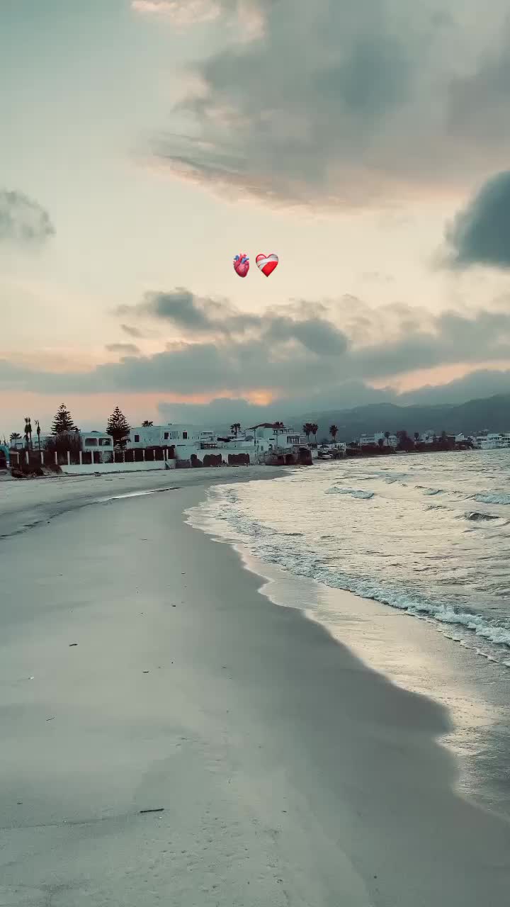 @Anware Bz|أنوار🐆